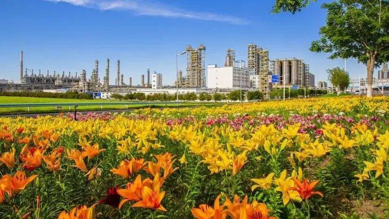 进出口有机化工原料安全评估要求