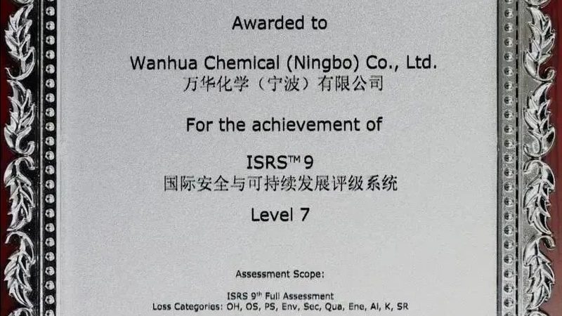 水性分散剂定制，揭秘其背后的技术与挑战